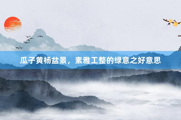 瓜子黄杨盆景，素雅工整的绿意之好意思